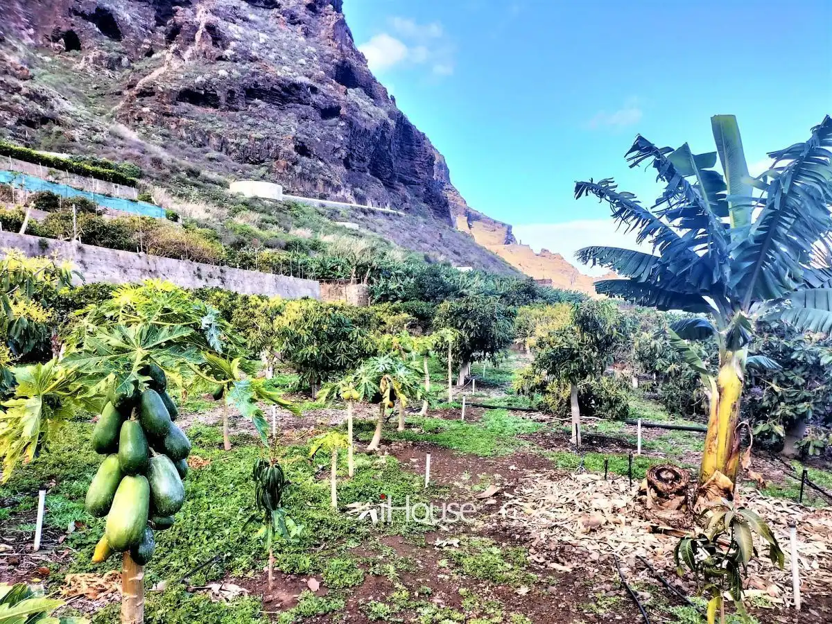 Terreno en venta en PUNTA DE TENO, Buenavista del Norte