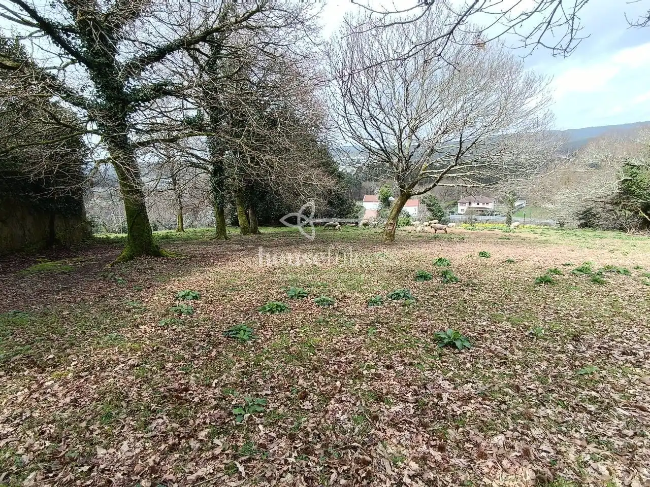 Terreni e lotti in vendita a Parroquias de Santiago, imagen 5