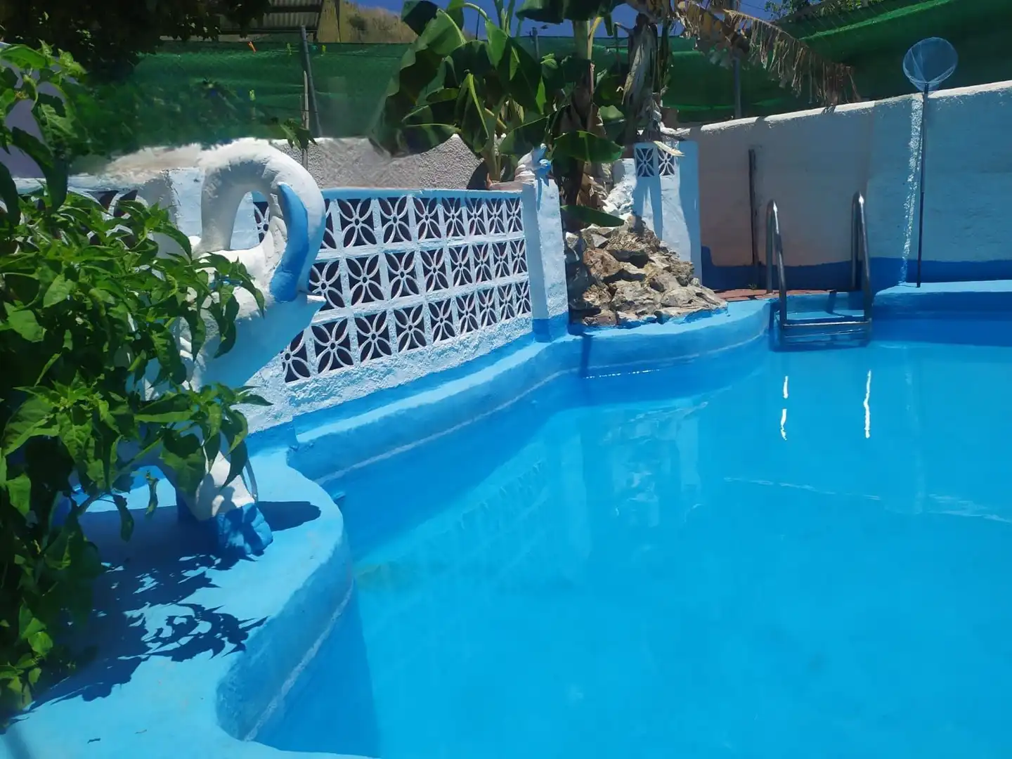 Piscina de Finca rústica en venta en Frigiliana con Calefacción, Jardín privado y Terraza