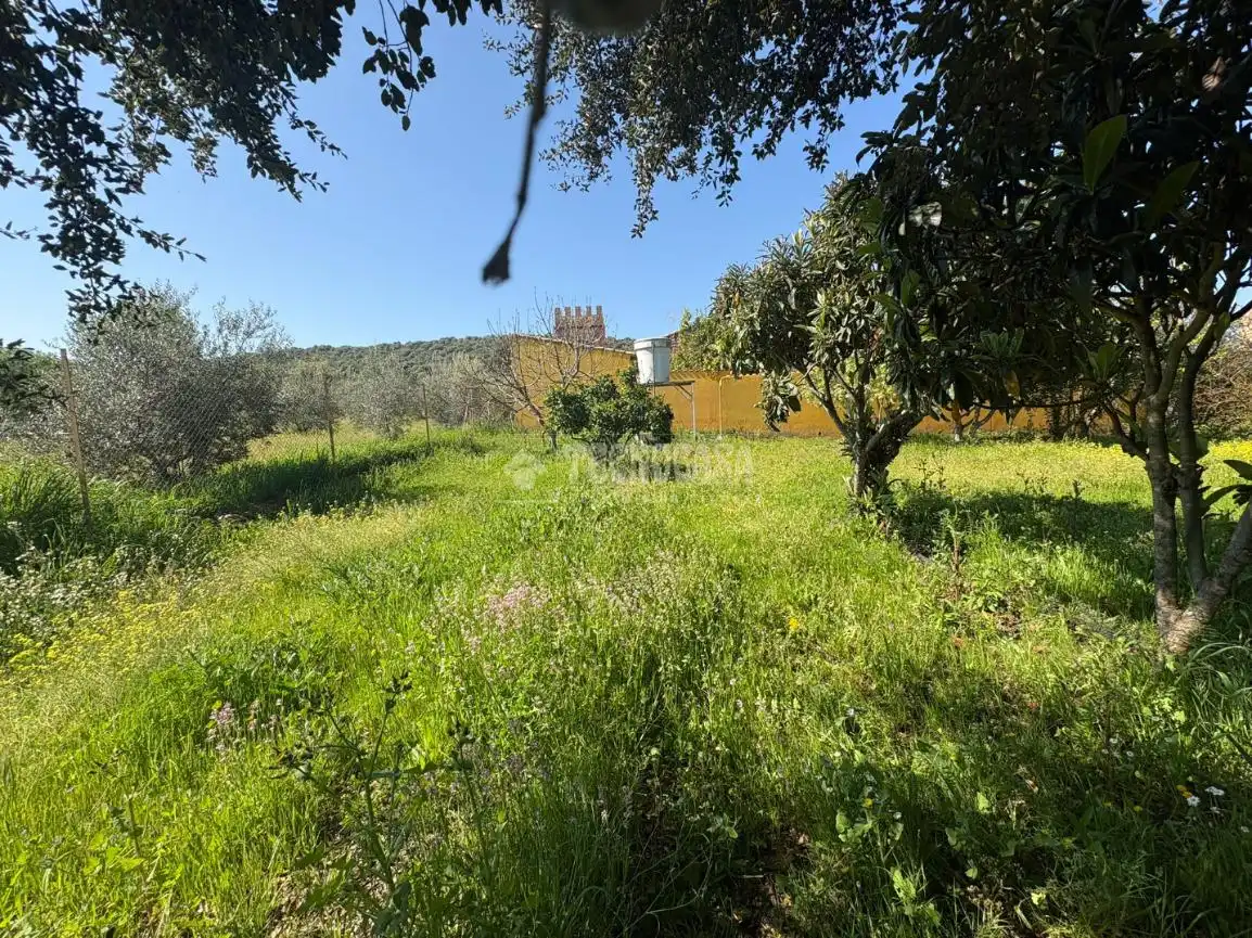 Terreno en venta en Táliga