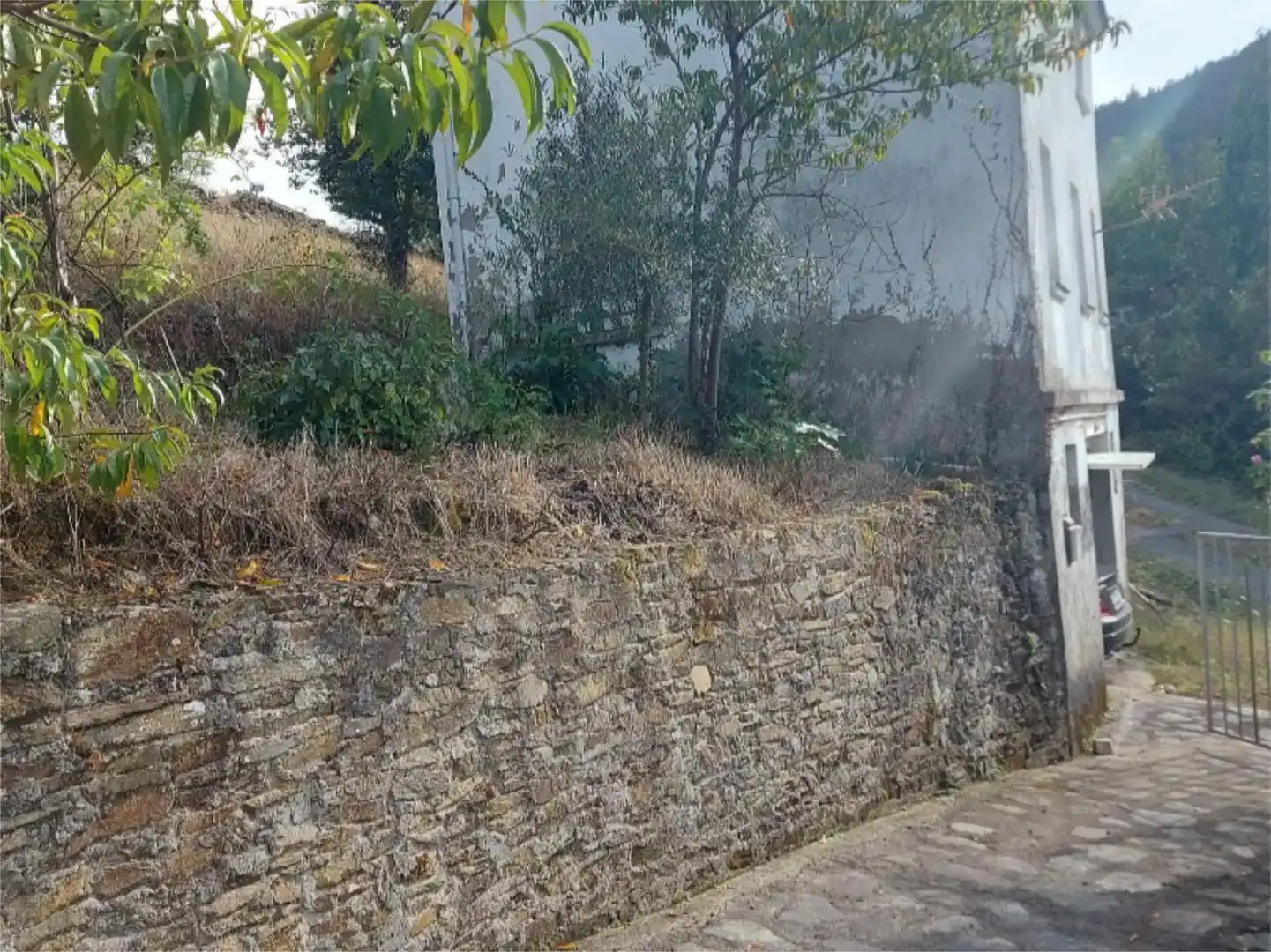 Vista exterior de Casa o xalet en venda en Boal