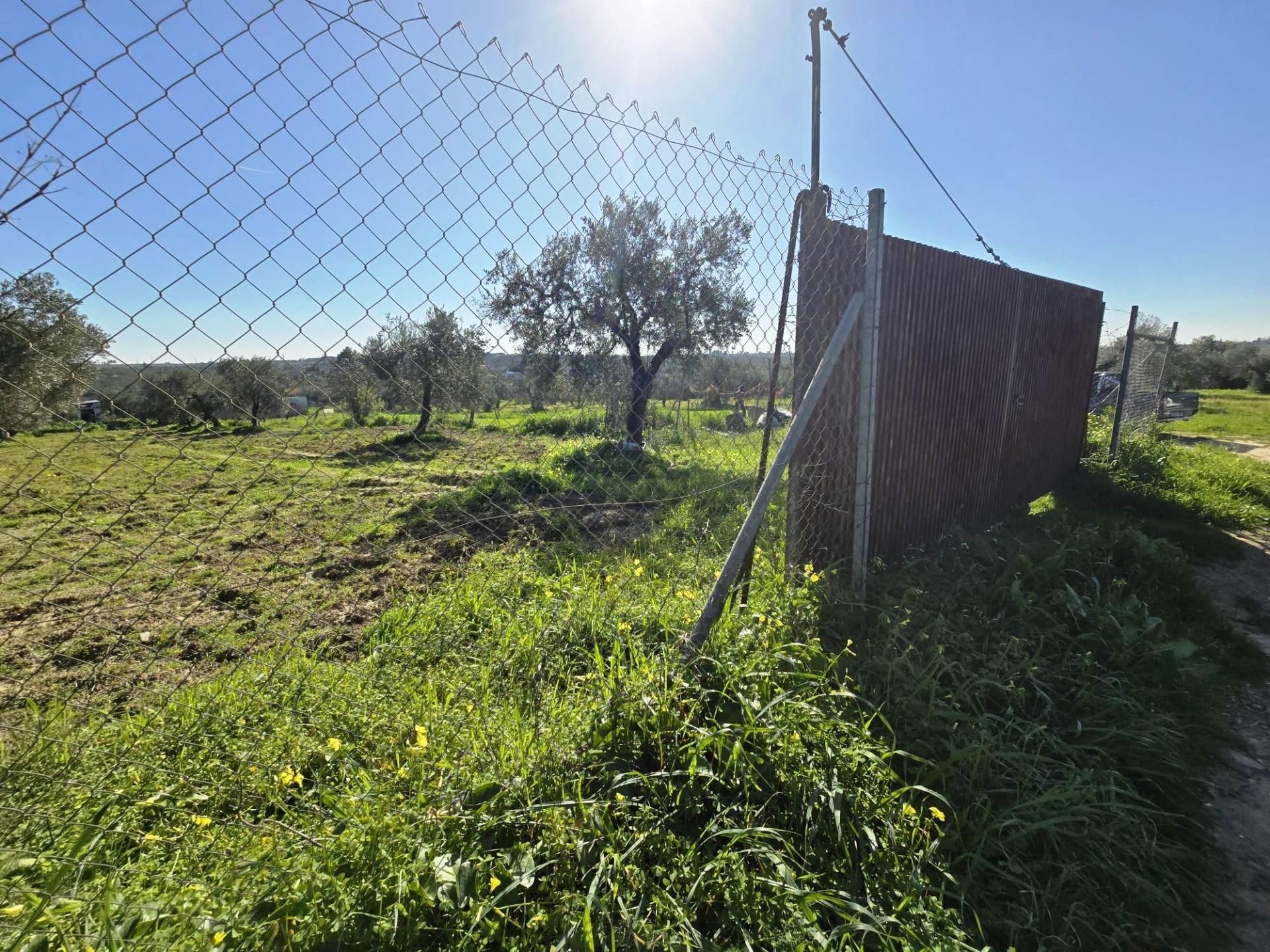 Land for sale in Bormujos