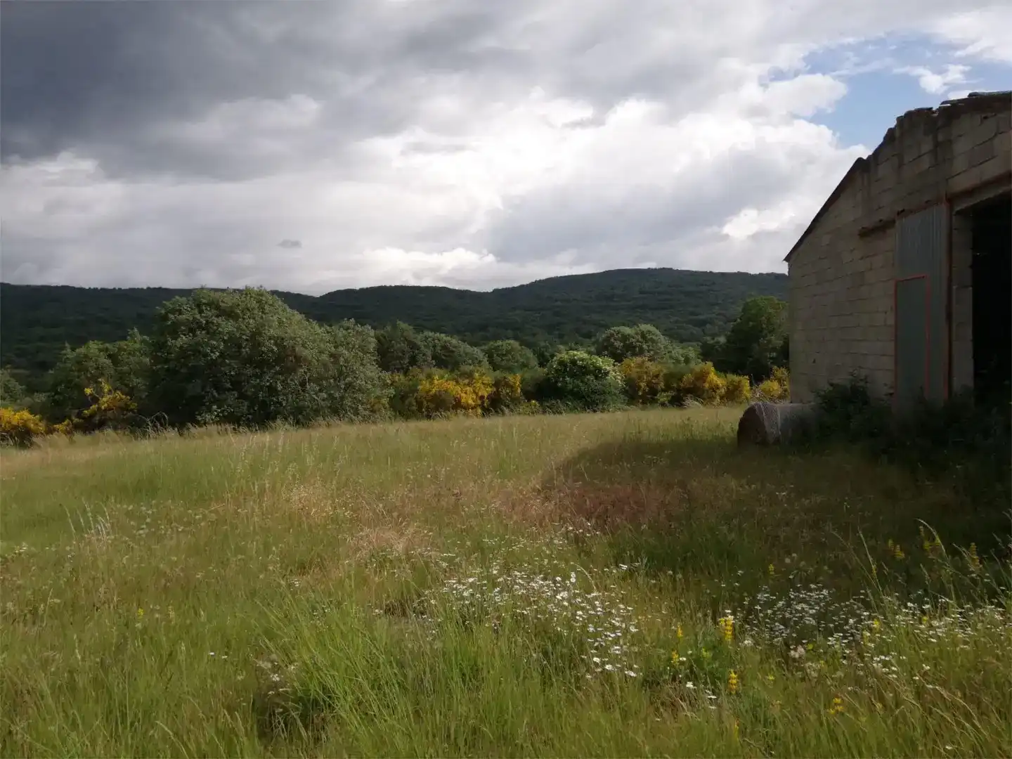 Finca rústica en venta en Os Blancos 
