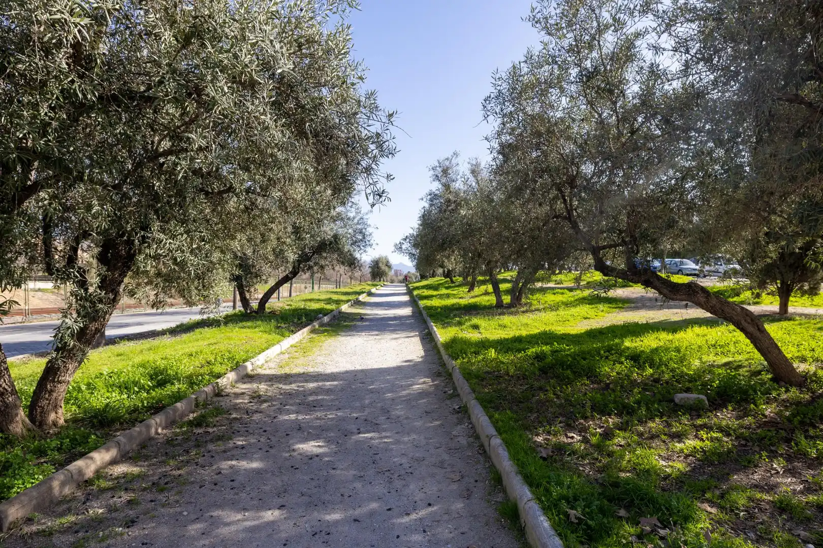 Exterior view of Flat for sale in Granada  with Parquet flooring, Terrace and Washing machine