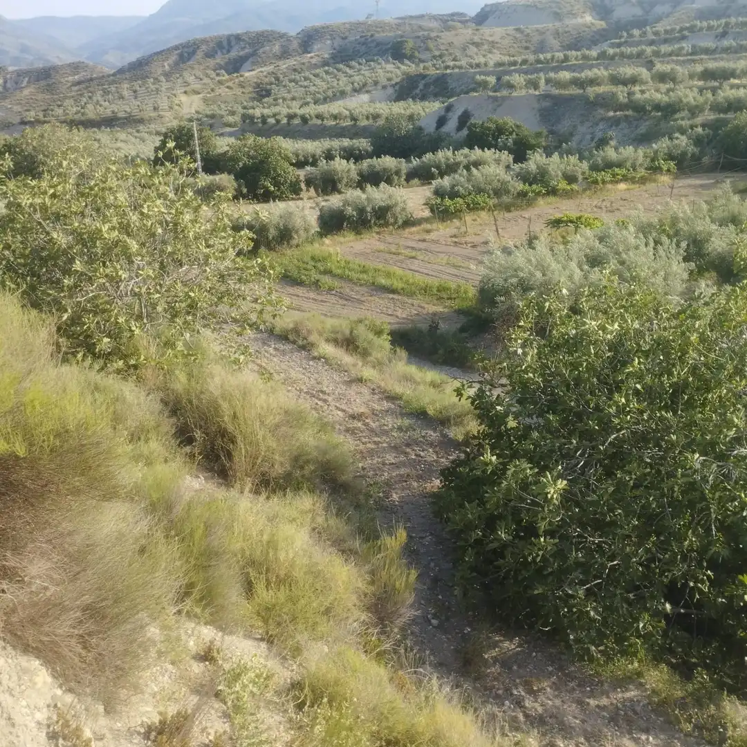 Country homes for sale in Lúcar  with Private garden and Storage room