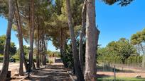 Vista exterior de Casa o xalet en venda en  Albacete Capital amb Aire condicionat, Calefacció i Jardí privat
