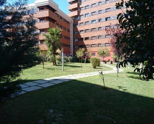 Jardí de Pis de lloguer en  Granada Capital amb Aire condicionat i Terrassa