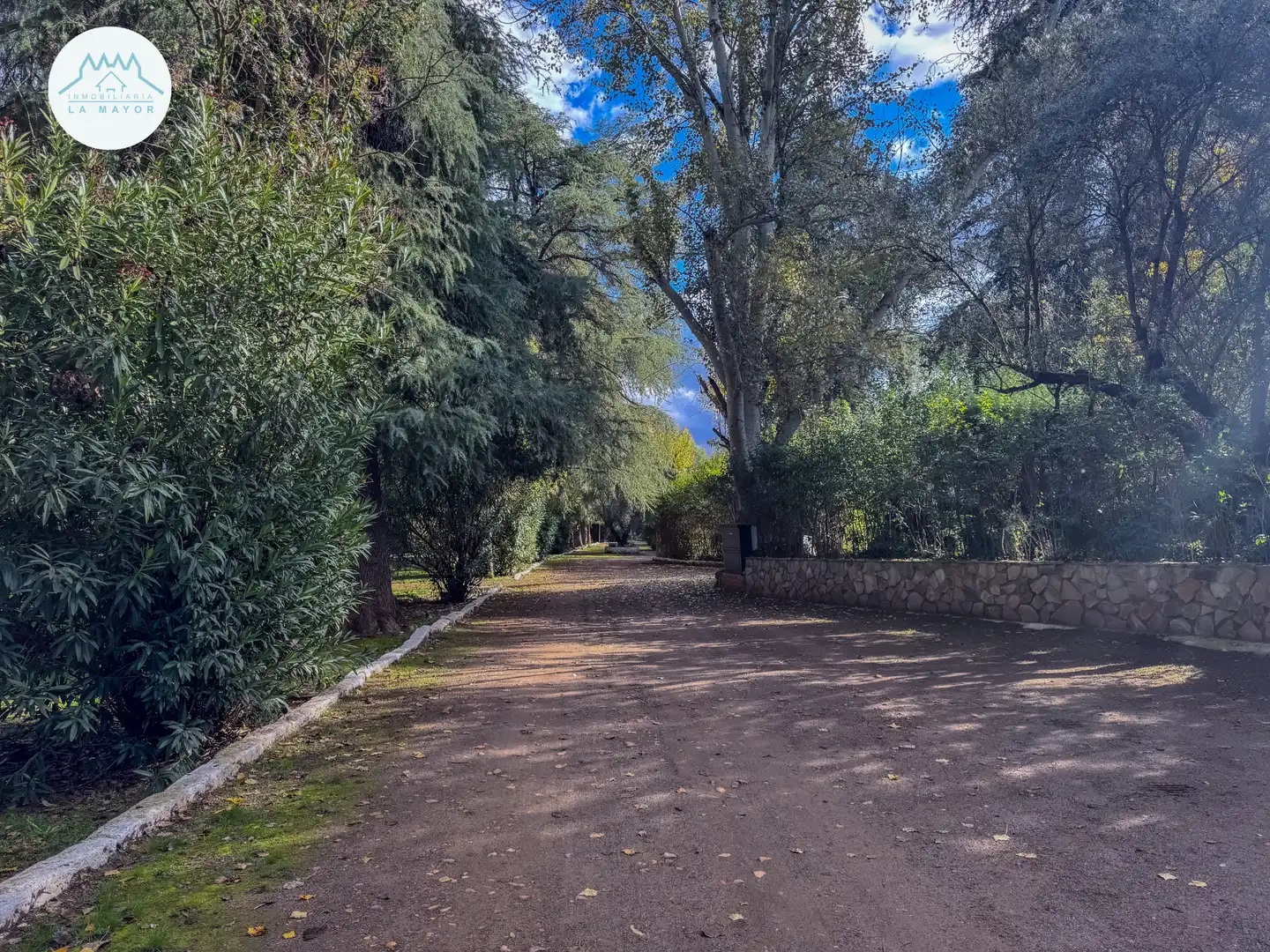 Vista exterior de Casa o chalet en venta en Piedrabuena con Calefacción, Jardín privado y Terraza