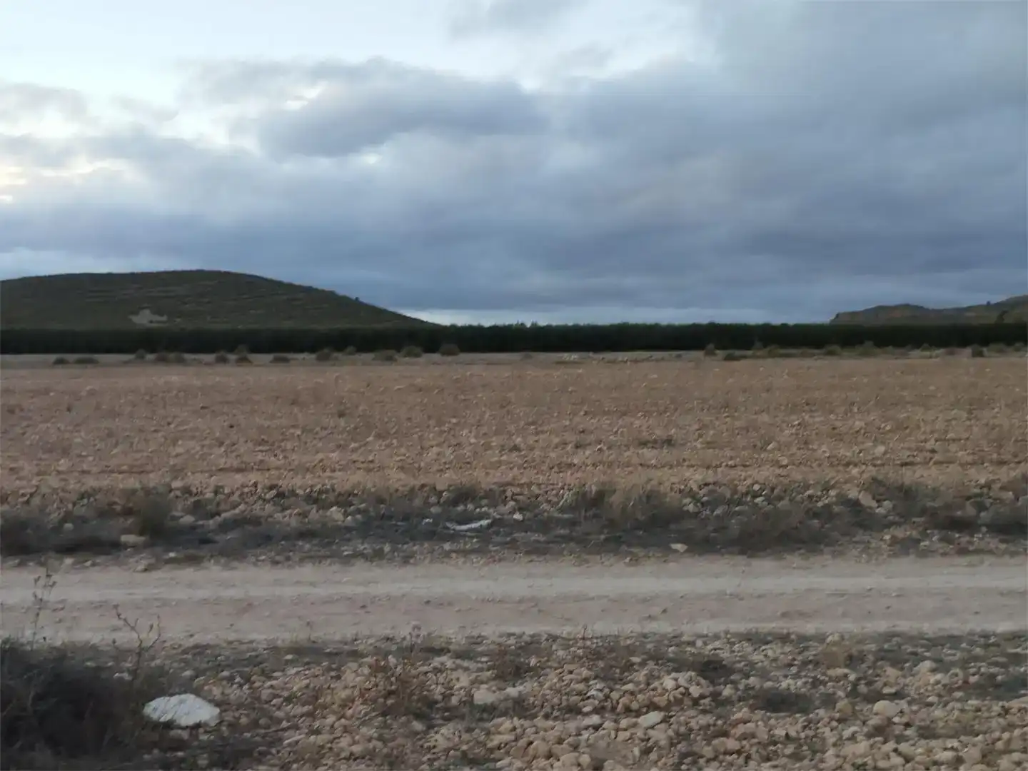 Terreno en venta en Montealegre del Castillo, Albacete