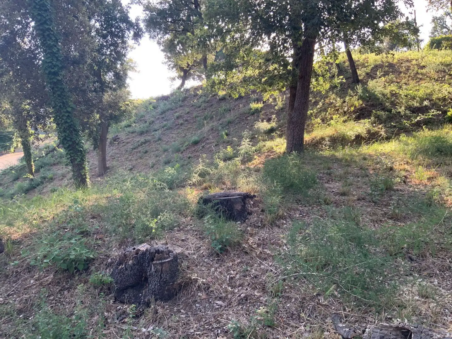 Residencial en venta en Santa Maria de Palautordera