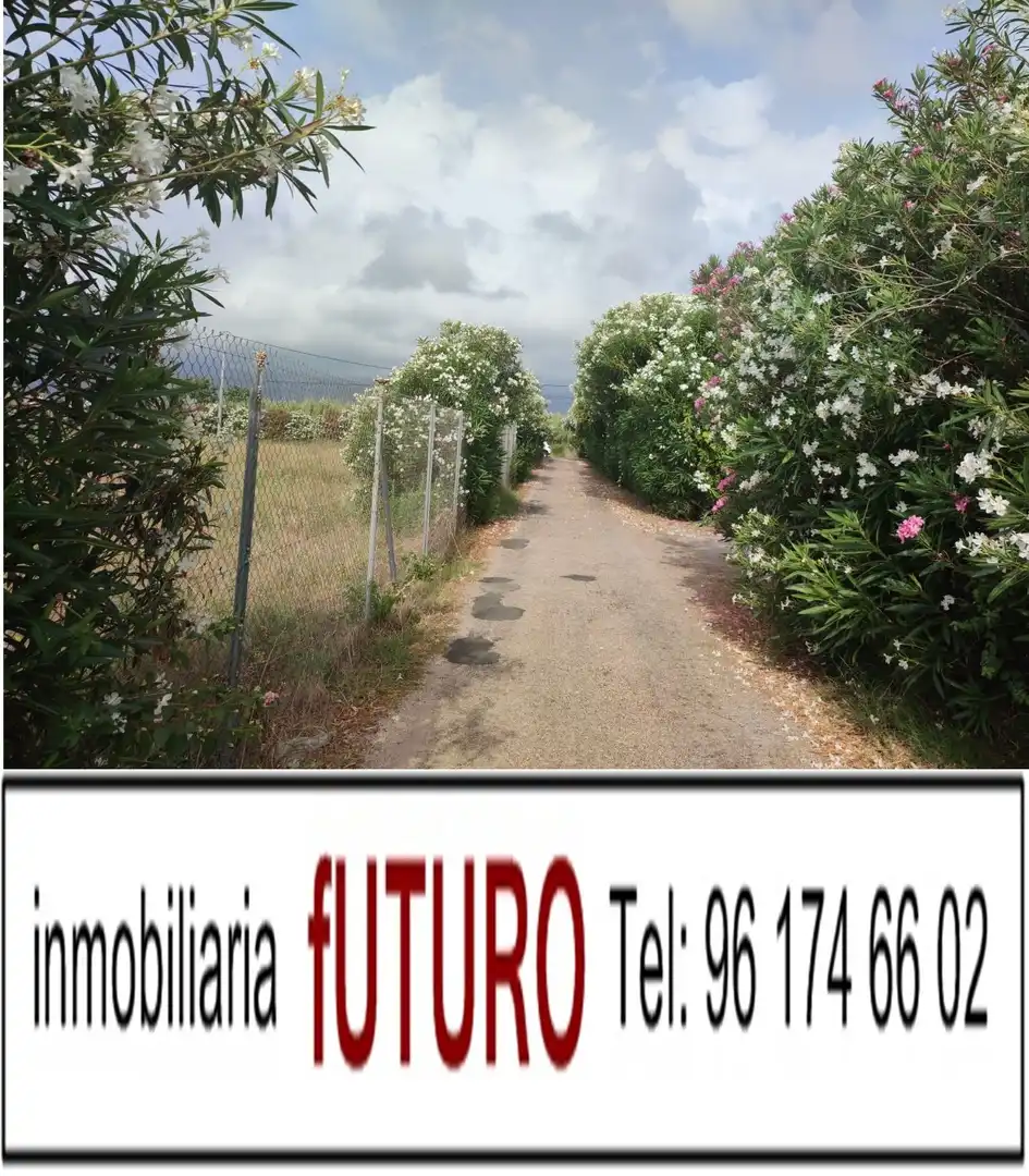Terreny rústic en venda a El Marenyet