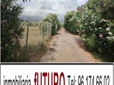 Terreno rustico in vendita a El Marenyet