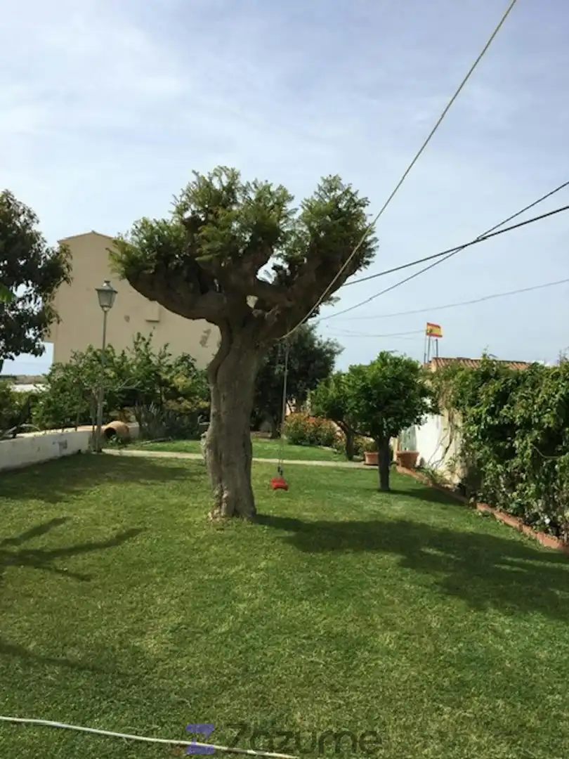 Garten von Haus oder Chalet zur Miete in Torrox mit Privatgarten, Terrasse und Schwimmbad