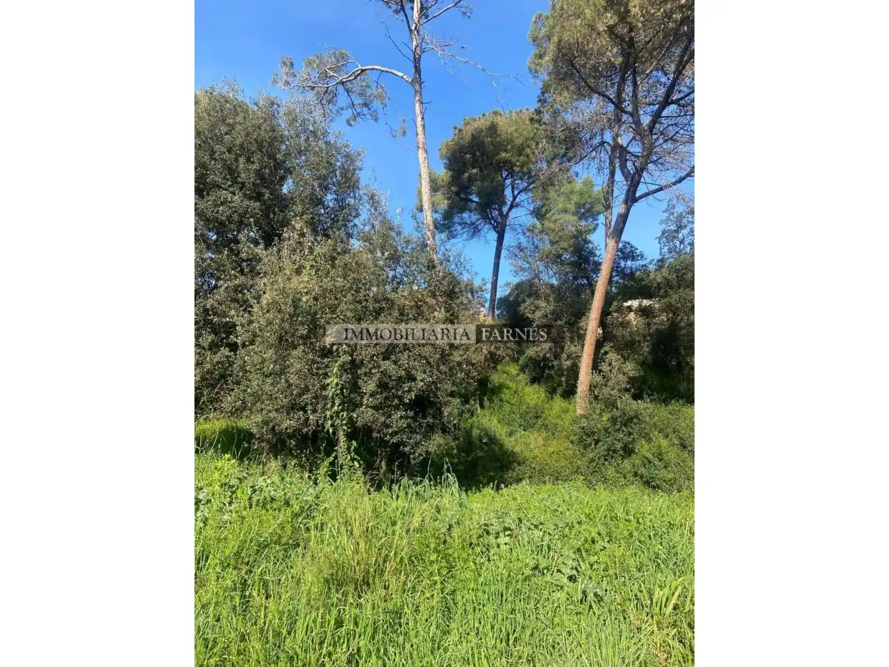 Residential for sale in Caldes de Montbui