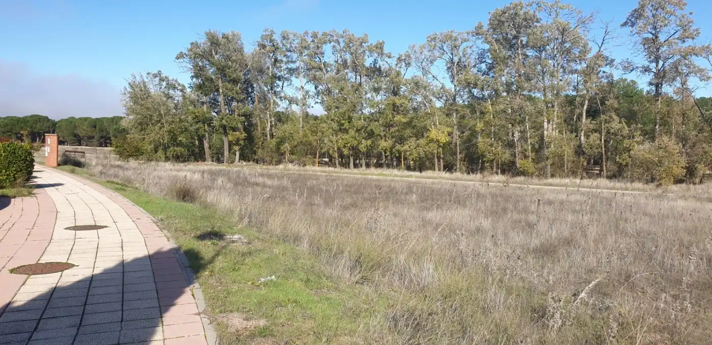 Terreni e lotti in vendita a Aldeamayor de San Martín, imagen 15
