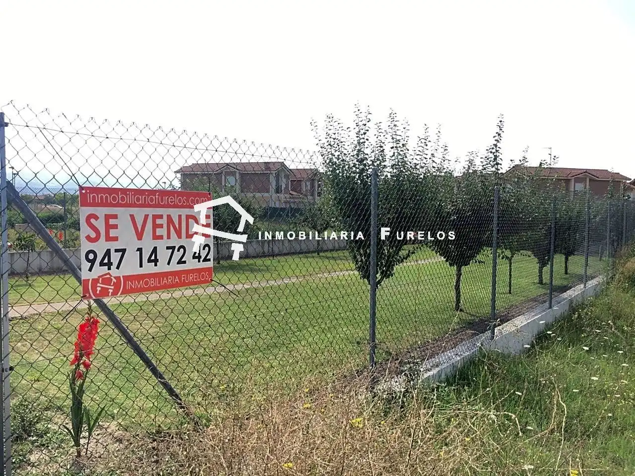 Lands and plots for sale in Isabel De Portugal 9