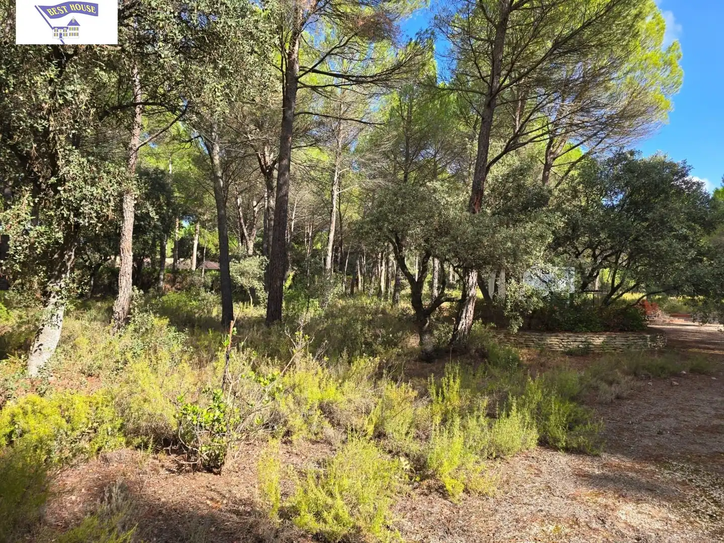 Terreno rustico in vendita a Pedanías - Extrarradio, imagen 9