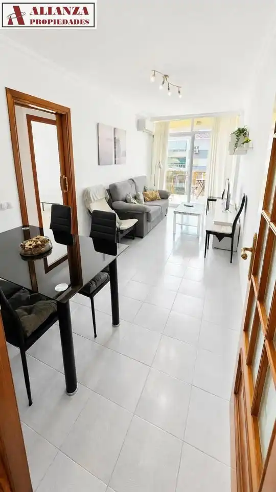 Living room of Flat for rent in Málaga  with Air Conditioner, Terrace and Furnished
