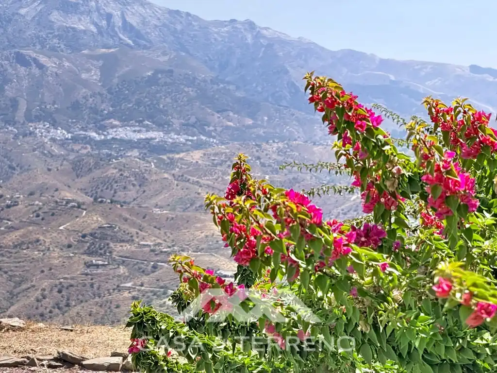 Vista exterior de Casa o xalet en venda en Vélez-Málaga amb Aire condicionat, Jardí privat i Terrassa