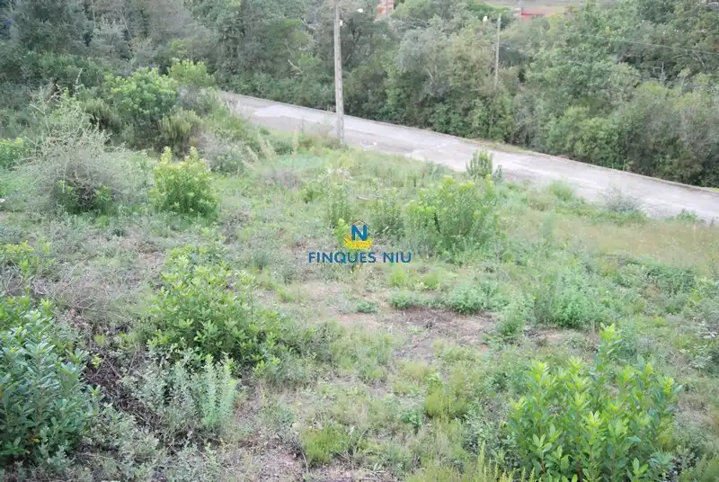 Terreny residencial en venda a Carrer Juli Cèsar 197, imagen 11