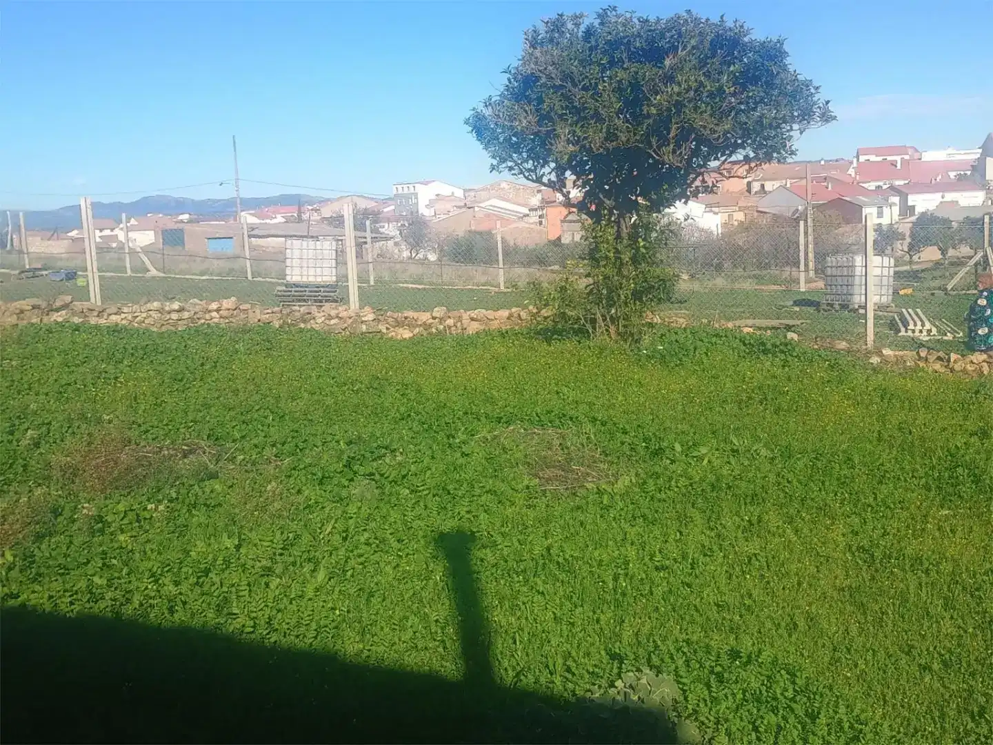 Country homes for sale in Siruela