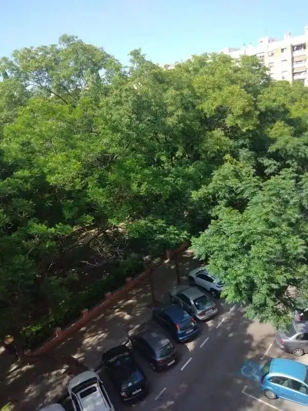 Flat for sale in Valencia  with Furnished and Balcony