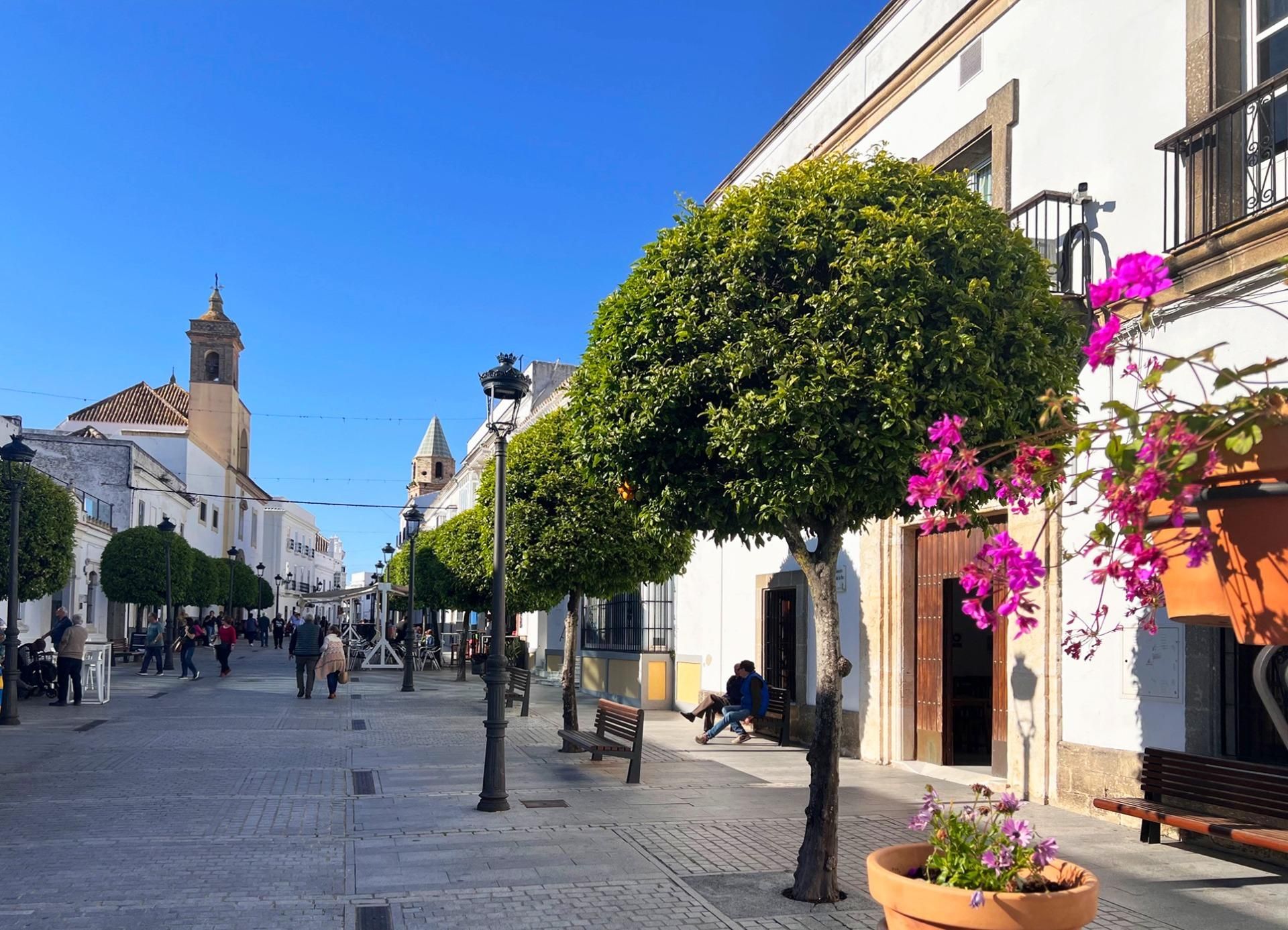 Vista exterior de Casa o xalet en venda en Medina-Sidonia amb Terrassa, Traster i Balcó