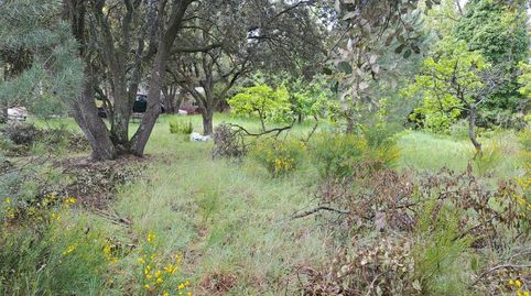 Photo 5 of Residential for sale in Ituero y Lama, Segovia