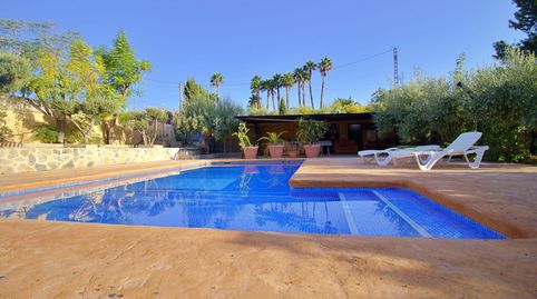 Impresionante Chalet en Elche Pedanías  Con Piscina y Amplios Espacios, imatge 4
