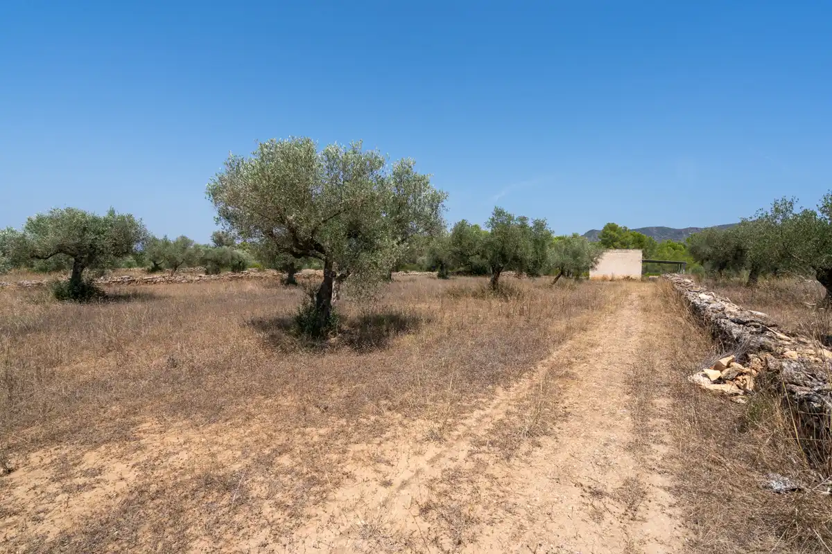 Rural land for sale in C-12 77, imagen 21