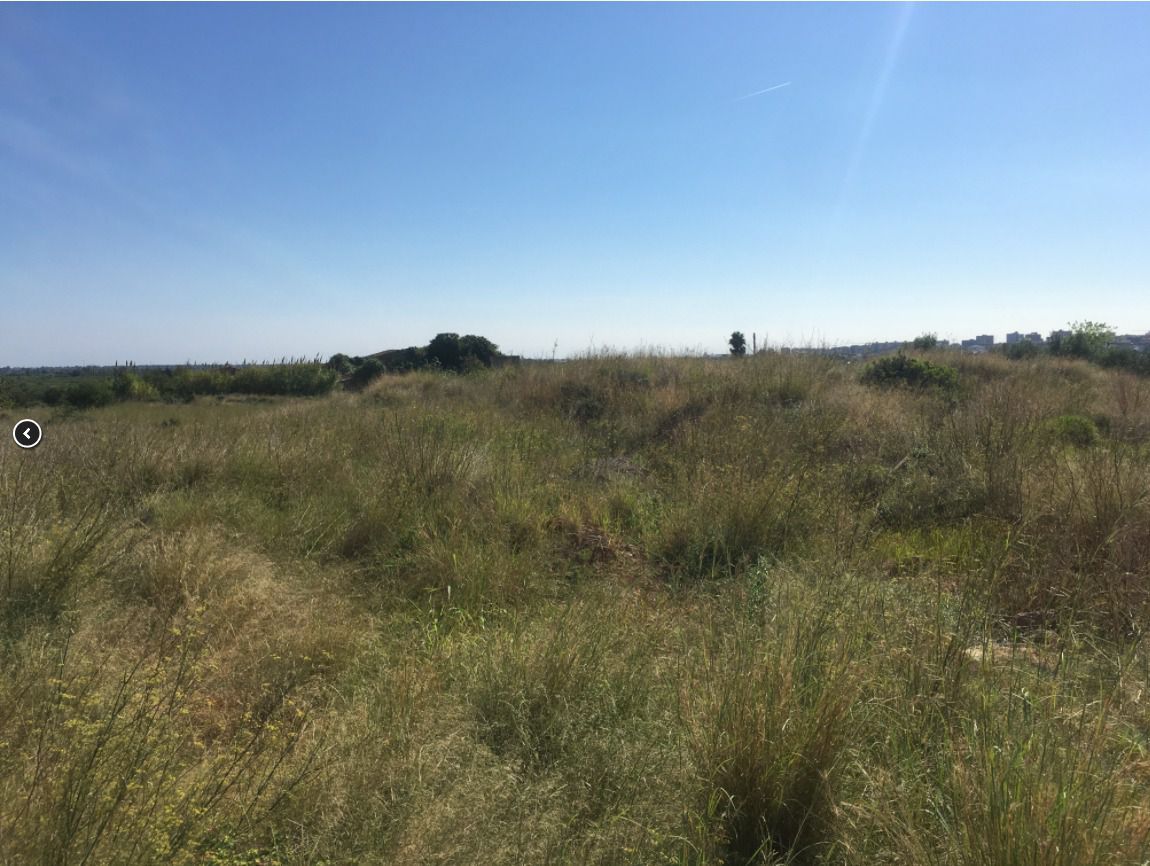 Finca rústica en venda en Castellón de la Plana / Castelló de la Plana