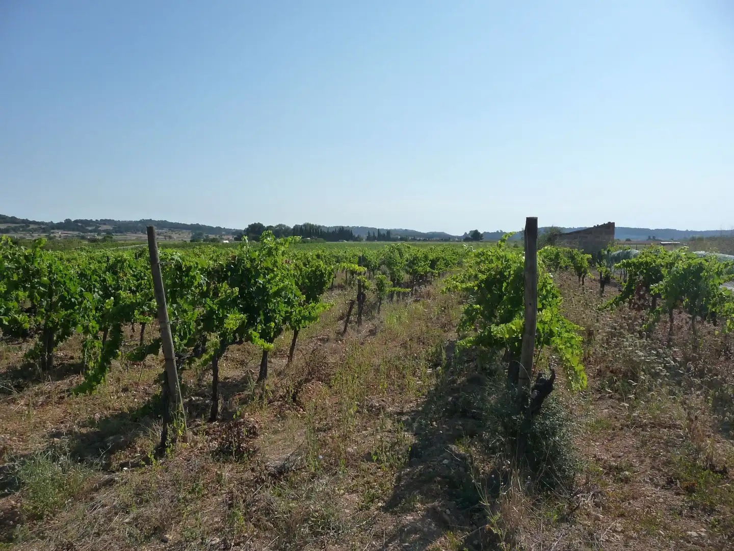 Terreni e lotti in vendita a Algaida, imagen 10