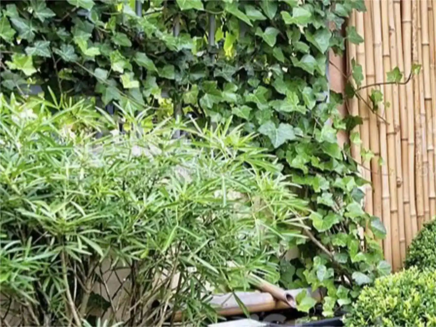 Garten von Wohnung zur Miete in Tarifa mit Privatgarten, Abstellraum und Möbliert