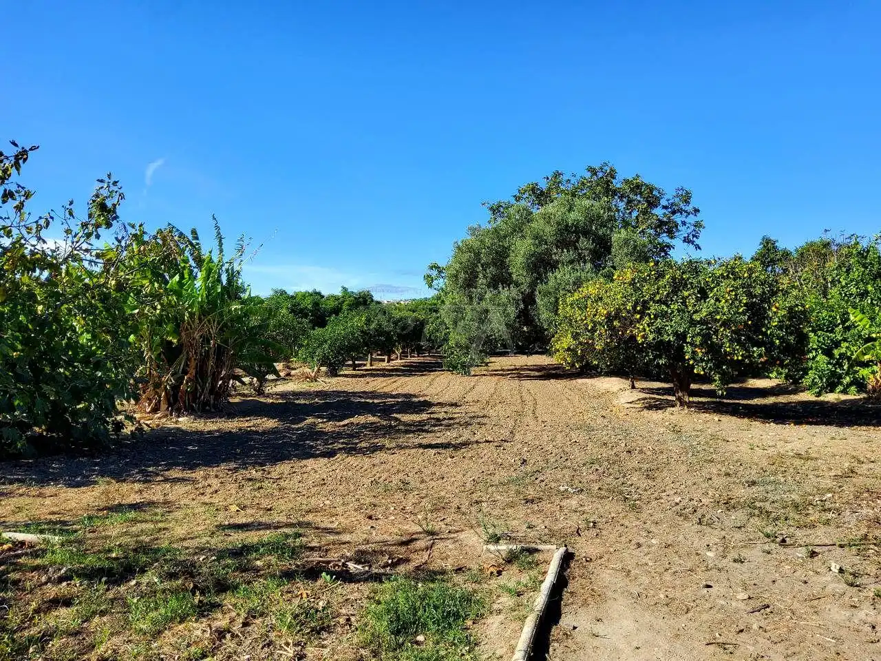 Terreni e lotti in vendita a San Enrique - Guadiaro -  Pueblo Nuevo, imagen 8