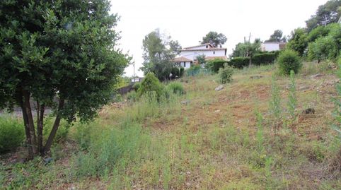 Terreno edificable en Fontpineda, imatge 3