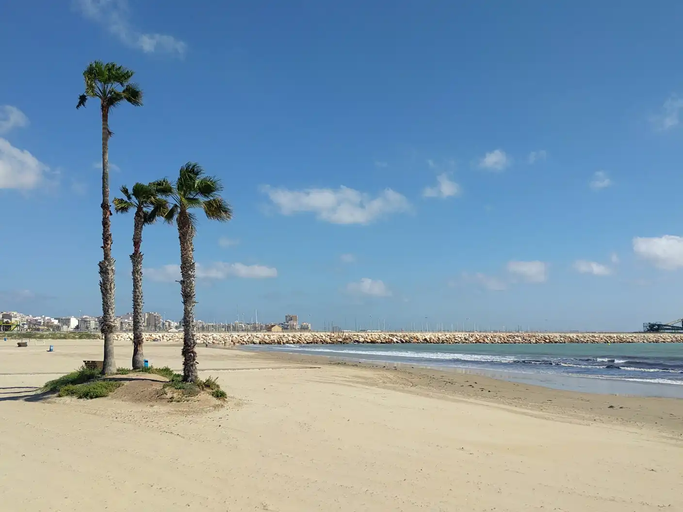 Vista exterior de Casa o xalet en venda en Torrevieja amb Jardí privat, Terrassa i Traster
