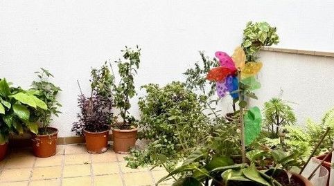 Foto 2 de Apartament en venda a Amargura, Conde de Ureña, Málaga Capital