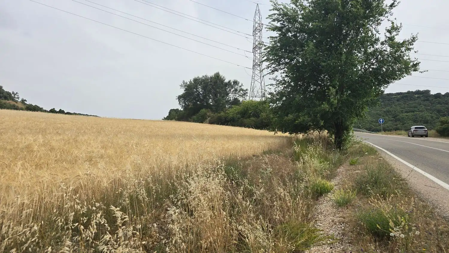 Terreno en venta en M-219, 175, Olmeda de las Fuentes