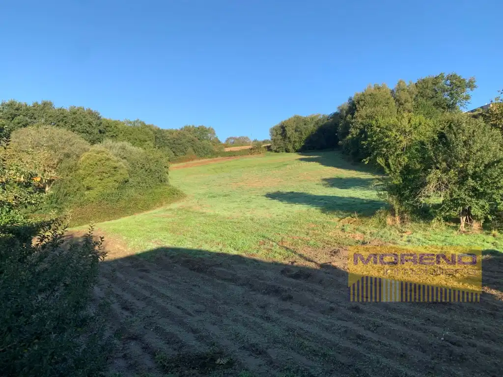 Country homes for sale in Paradela
