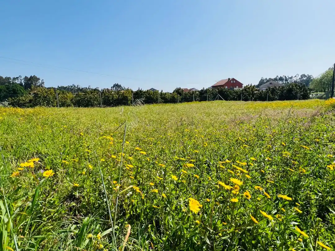 Residencial en venta en Vilanova de Arousa