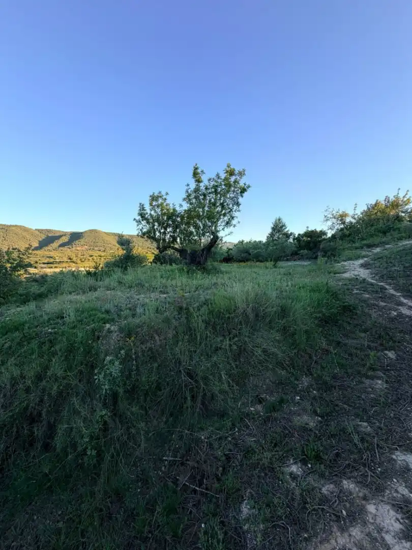 Country homes for sale in Atzeneta d'Albaida
