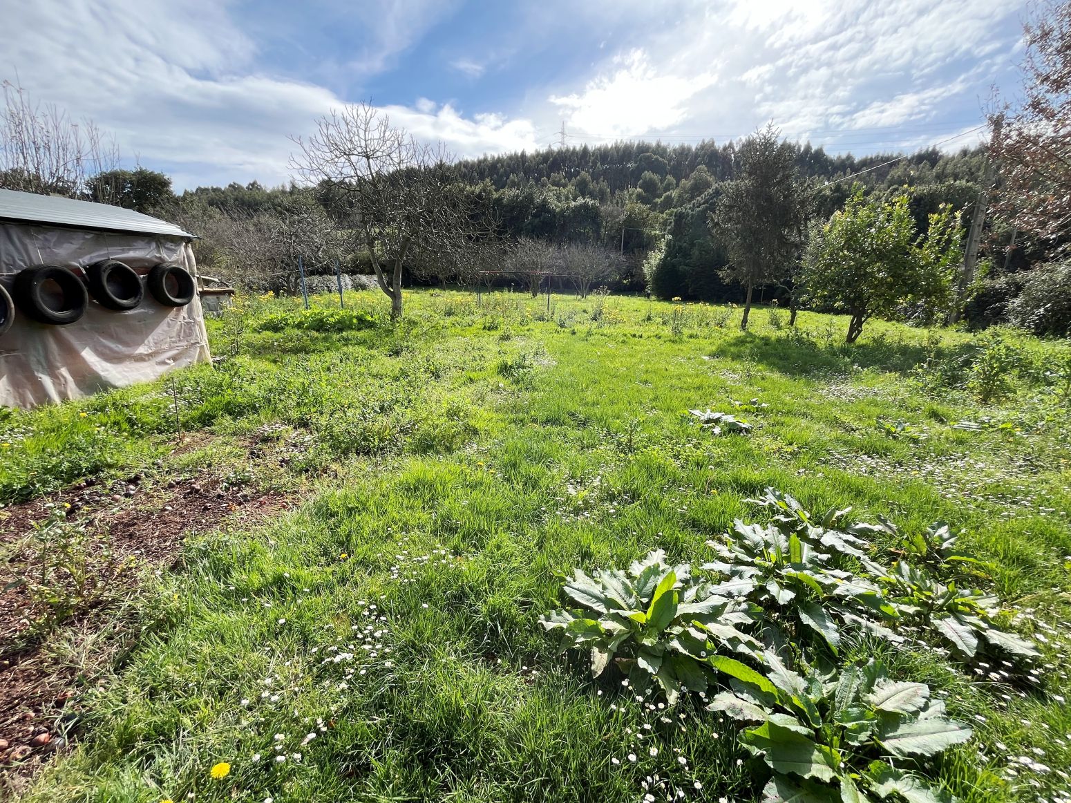 Residential for sale in Gozón