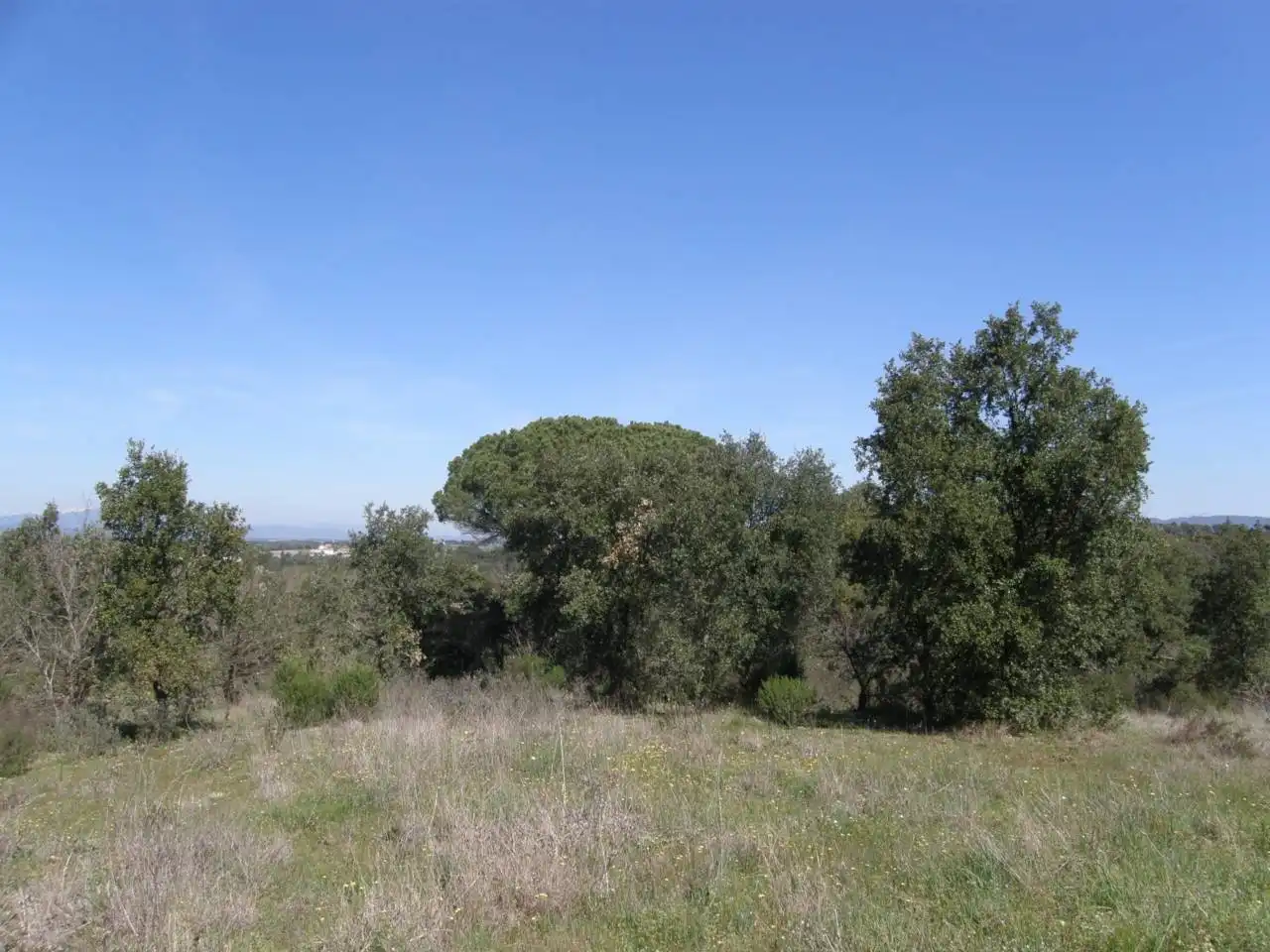 Terreno rústico en venta en Caldes de Malavella, imagen 2