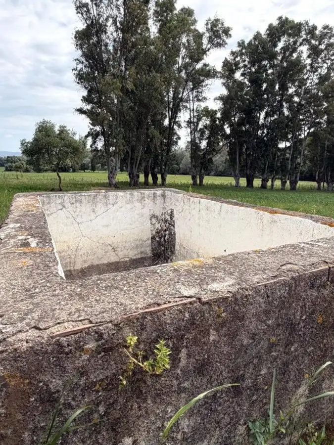 Piscina de Finca rústica en venta en Jimena de la Frontera con Terraza