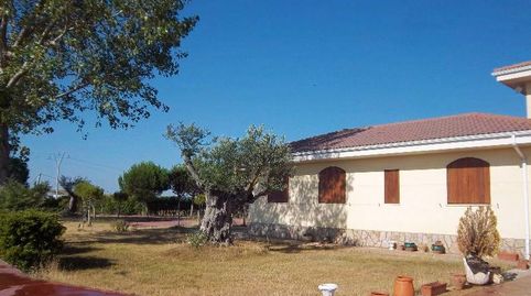 Photo 3 of Houses for rent in Área Rural, Zamora Capital