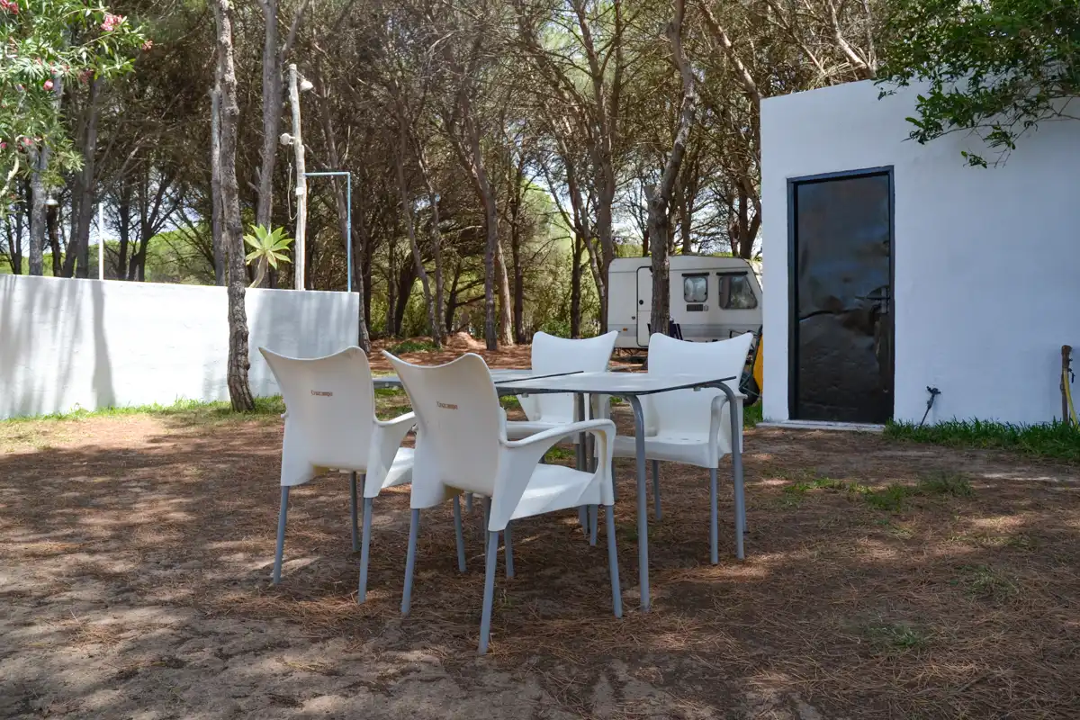 Garden of Country homes for sale in Chiclana de la Frontera
