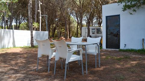 Foto 5 de Finca rústica en venta en Las Lagunas - Campano, Cádiz