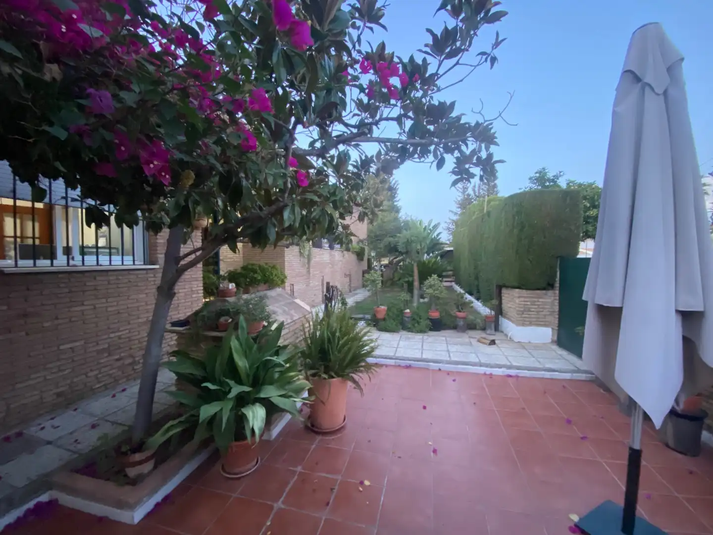 Jardín de Casa o chalet en venta en Torrequinto