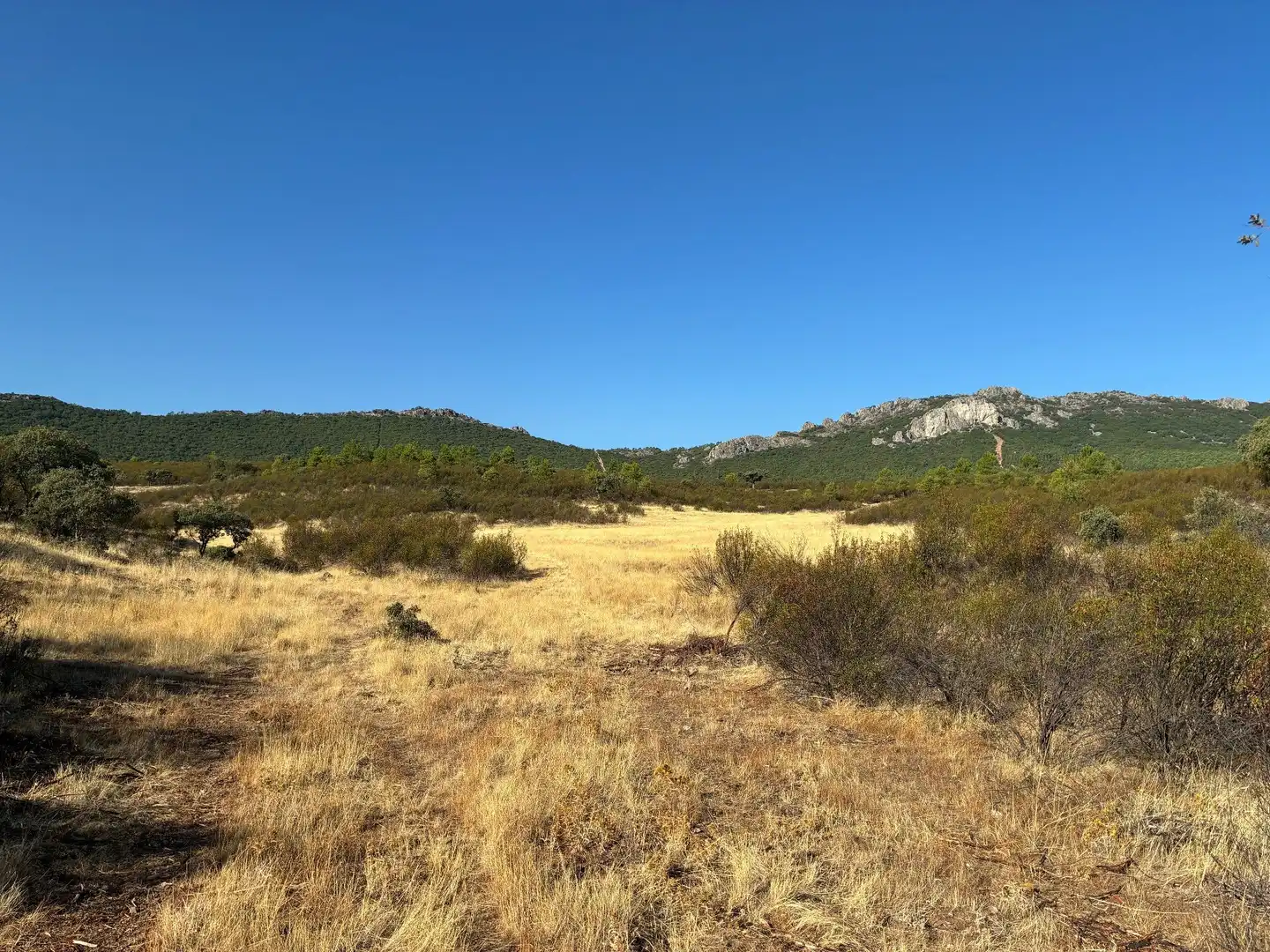 Rural land for sale in Puerto de San Vicente, imagen 13