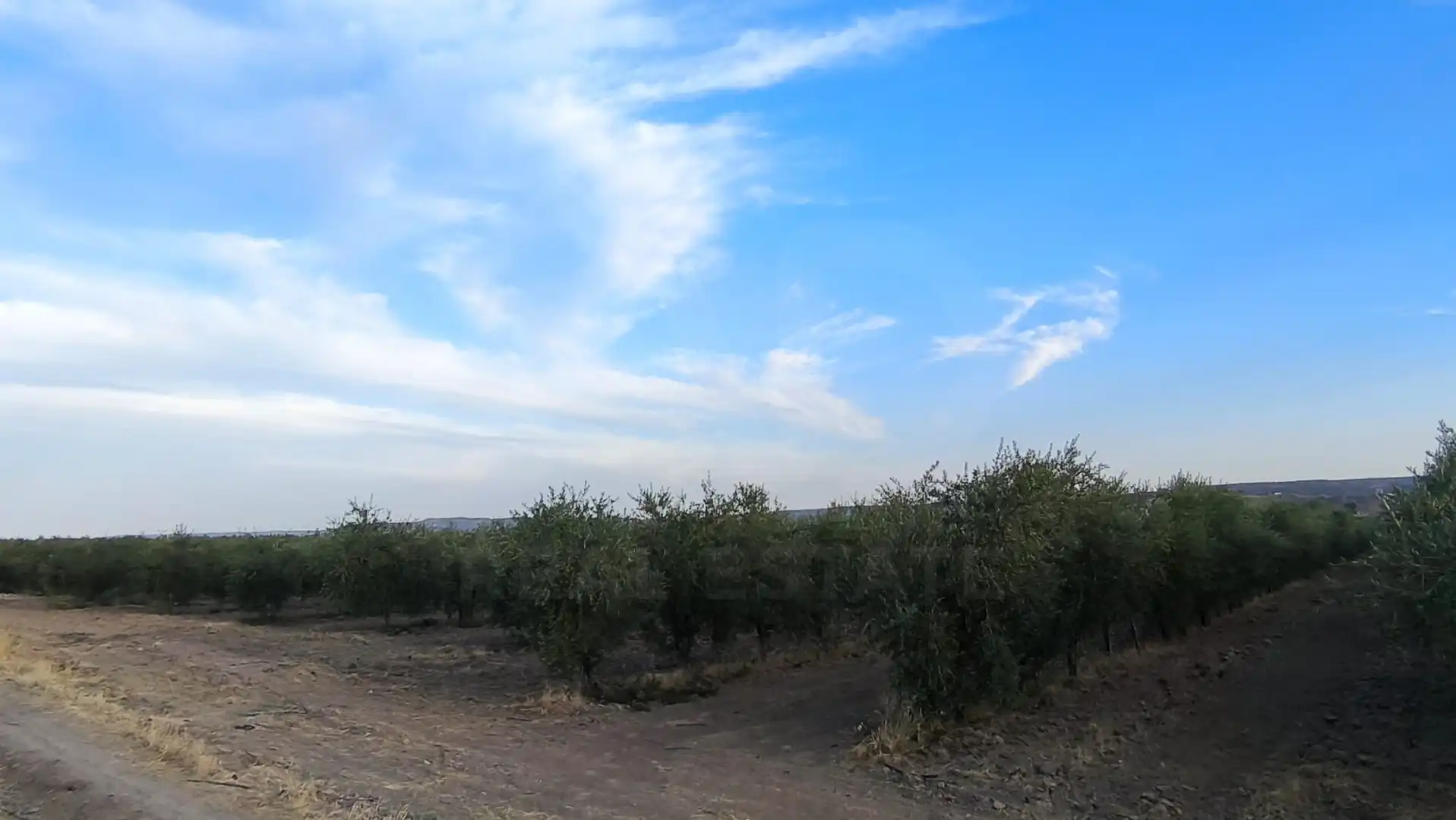 Terreno residencial en venta en Colmenar de Oreja, imagen 11